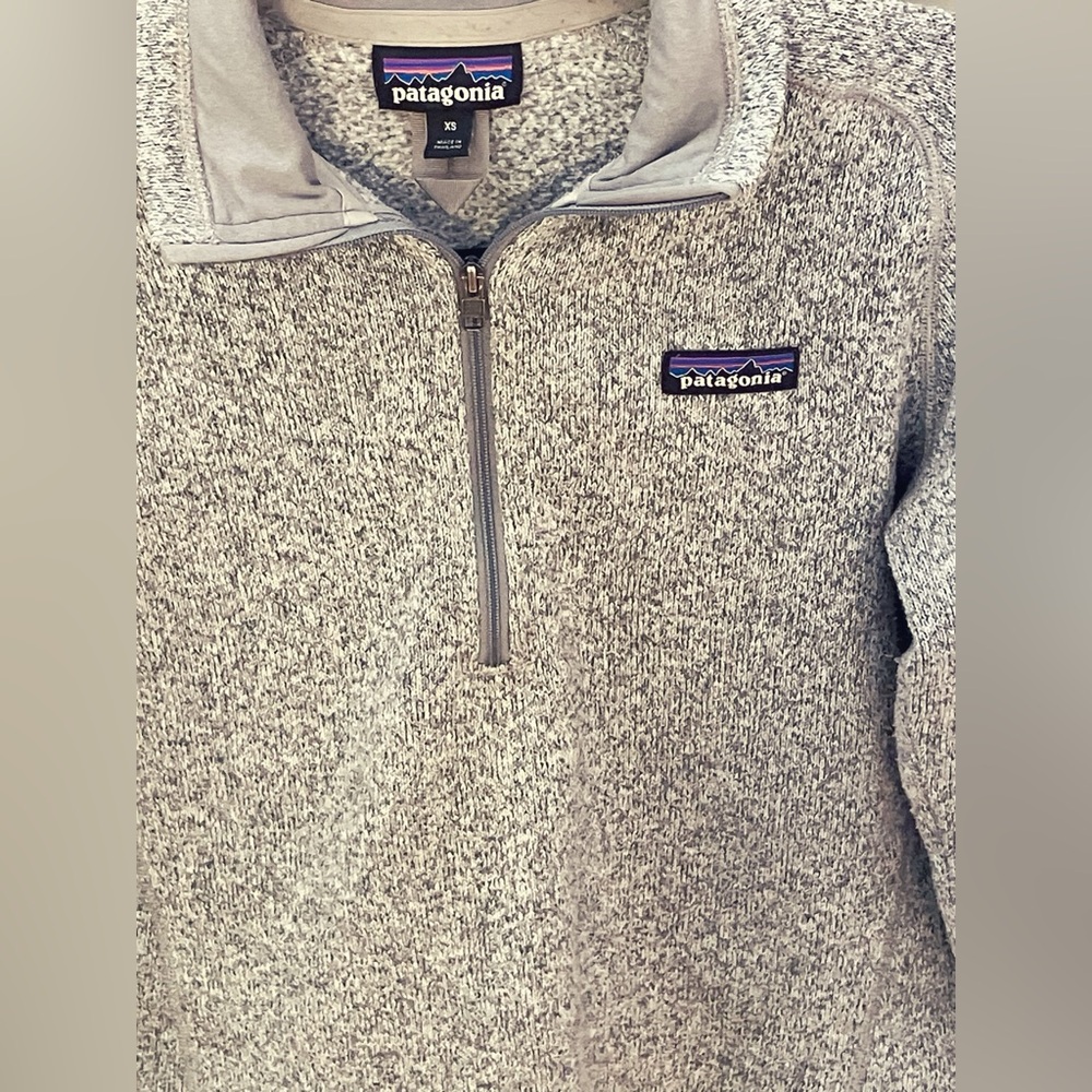 Patagonia Light Gray Fleece Pullover